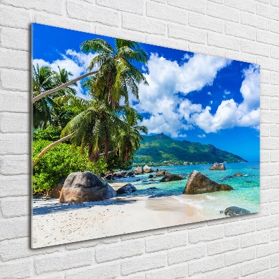 Acrylique tableau Plage des Seychelles