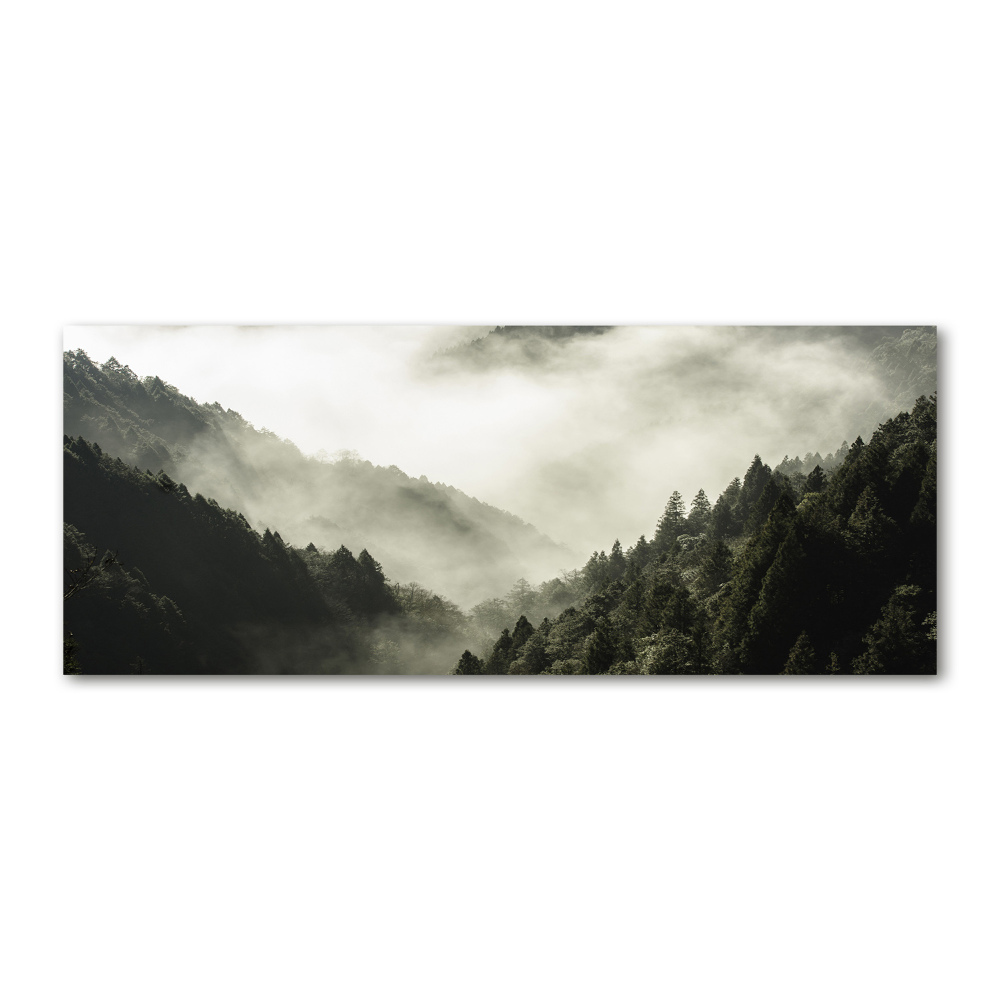 Tableau acrylique Brume sur la forêt