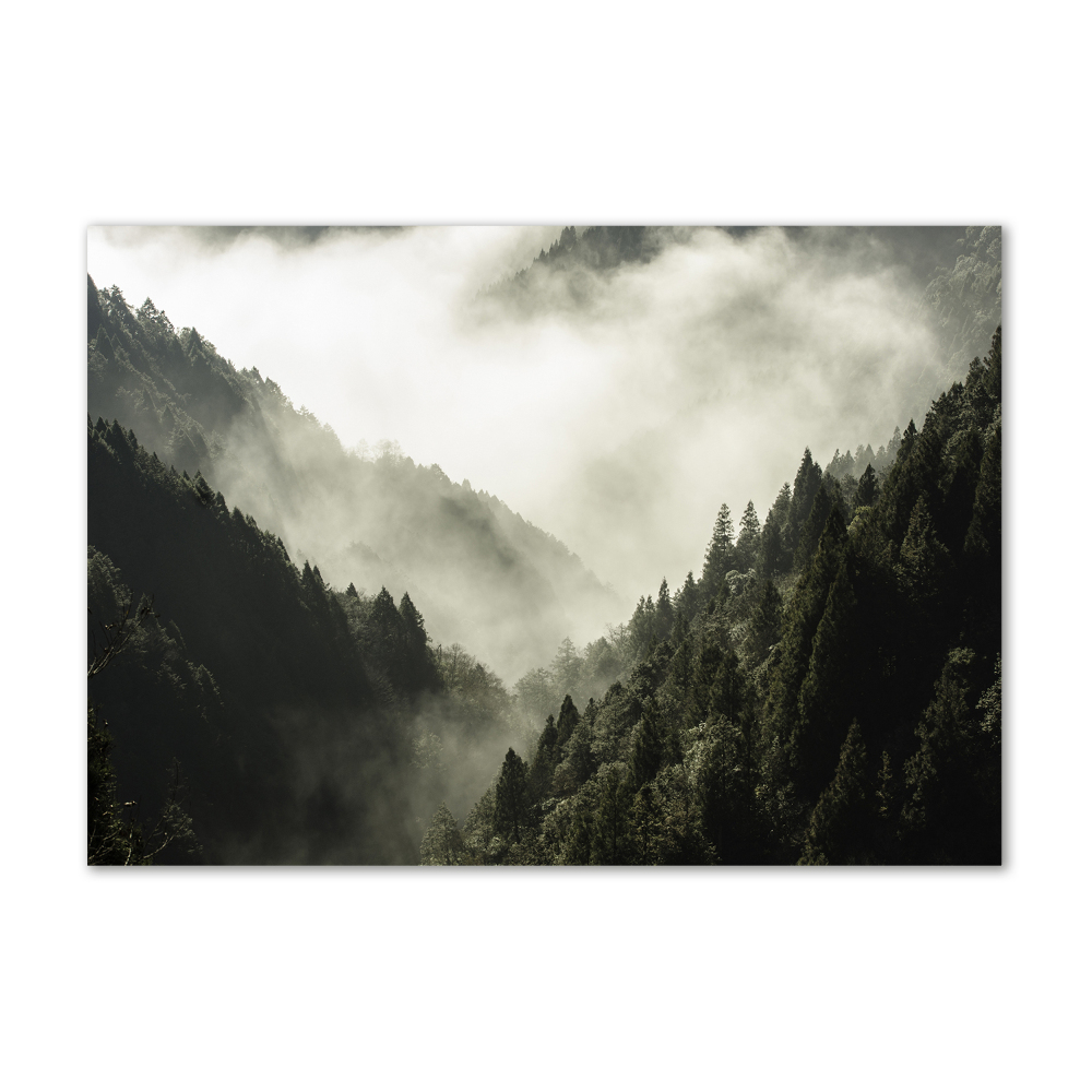 Tableau acrylique Brume sur la forêt