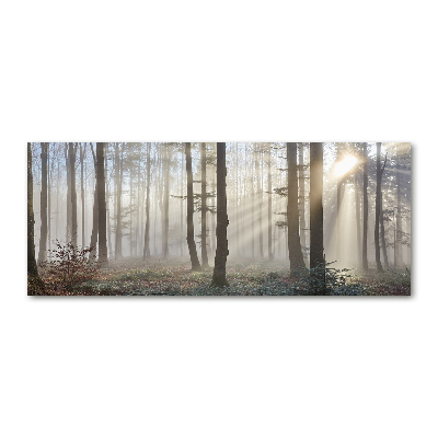 Tableau en acrylique Le brouillard dans la forêt