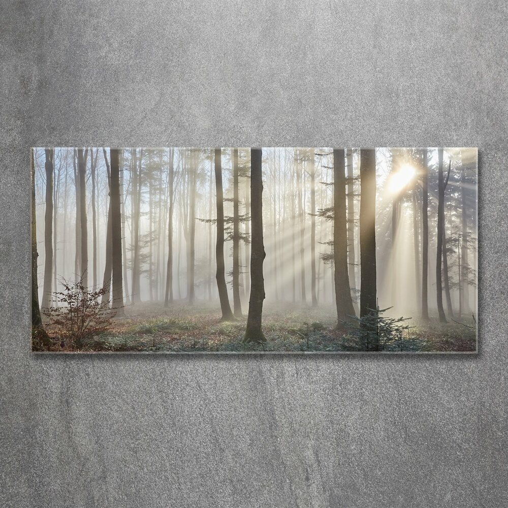 Tableau en acrylique Le brouillard dans la forêt