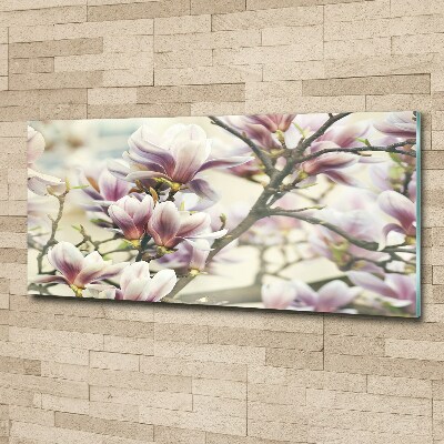 Acrylique tableau Magnolia