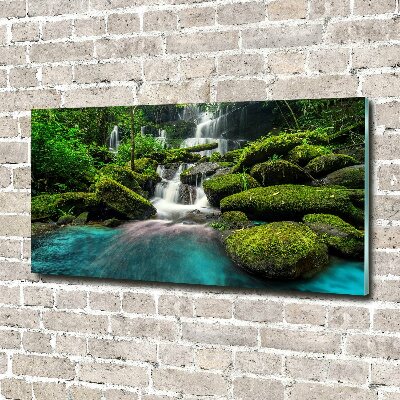 Tableau sur verre acrylique Chute d'eau dans la jungle