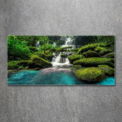 Tableau sur verre acrylique Chute d'eau dans la jungle