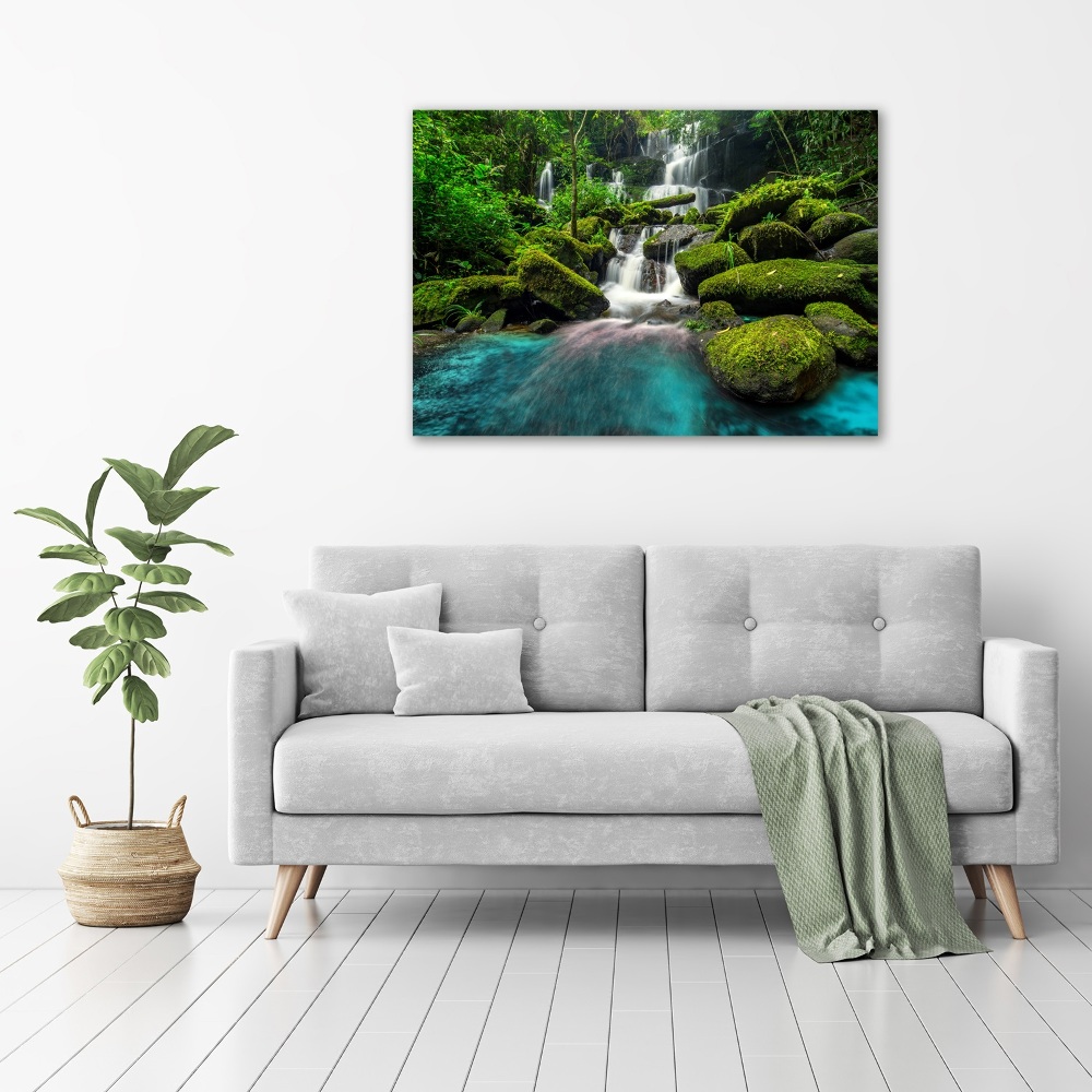 Tableau sur verre acrylique Chute d'eau dans la jungle