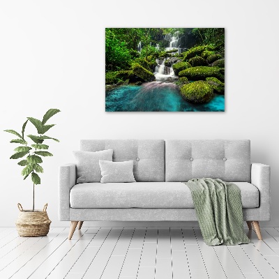 Tableau sur verre acrylique Chute d'eau dans la jungle