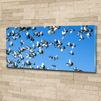 Tableau en acrylique Troupeau de pigeons