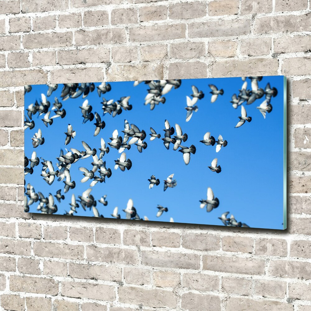 Tableau en acrylique Troupeau de pigeons