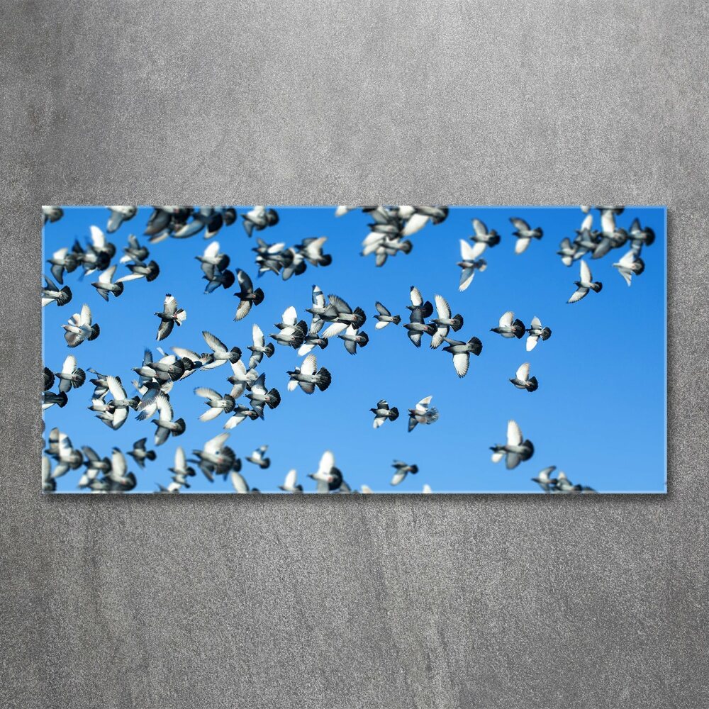 Tableau en acrylique Troupeau de pigeons