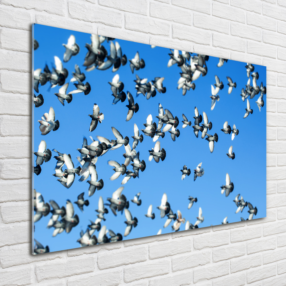 Tableau en acrylique Troupeau de pigeons