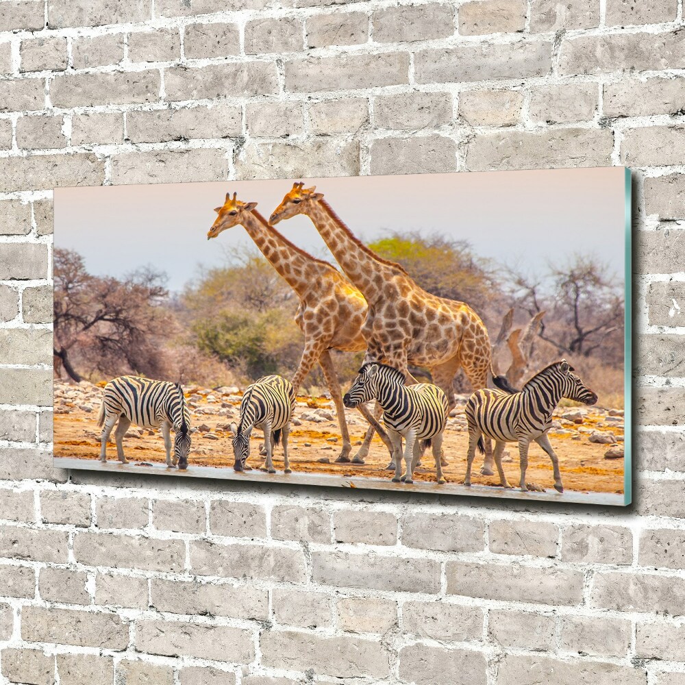 Tableau acrylique Girafes et zèbres