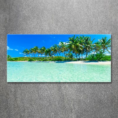 Acrylique tableau Plage exotique eau bleue