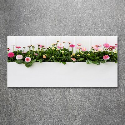 Tableau acrylique Marguerites roses