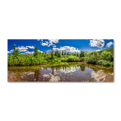 Tableau verre acrylique Lac dans la forêt