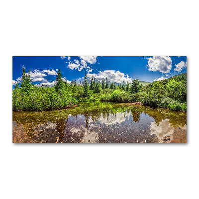 Tableau verre acrylique Lac dans la forêt