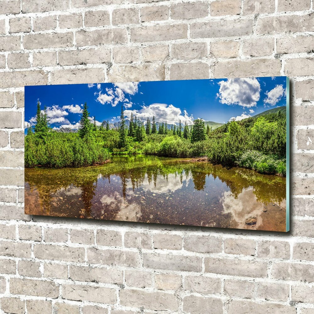 Tableau verre acrylique Lac dans la forêt