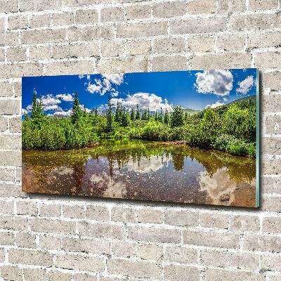 Tableau verre acrylique Lac dans la forêt