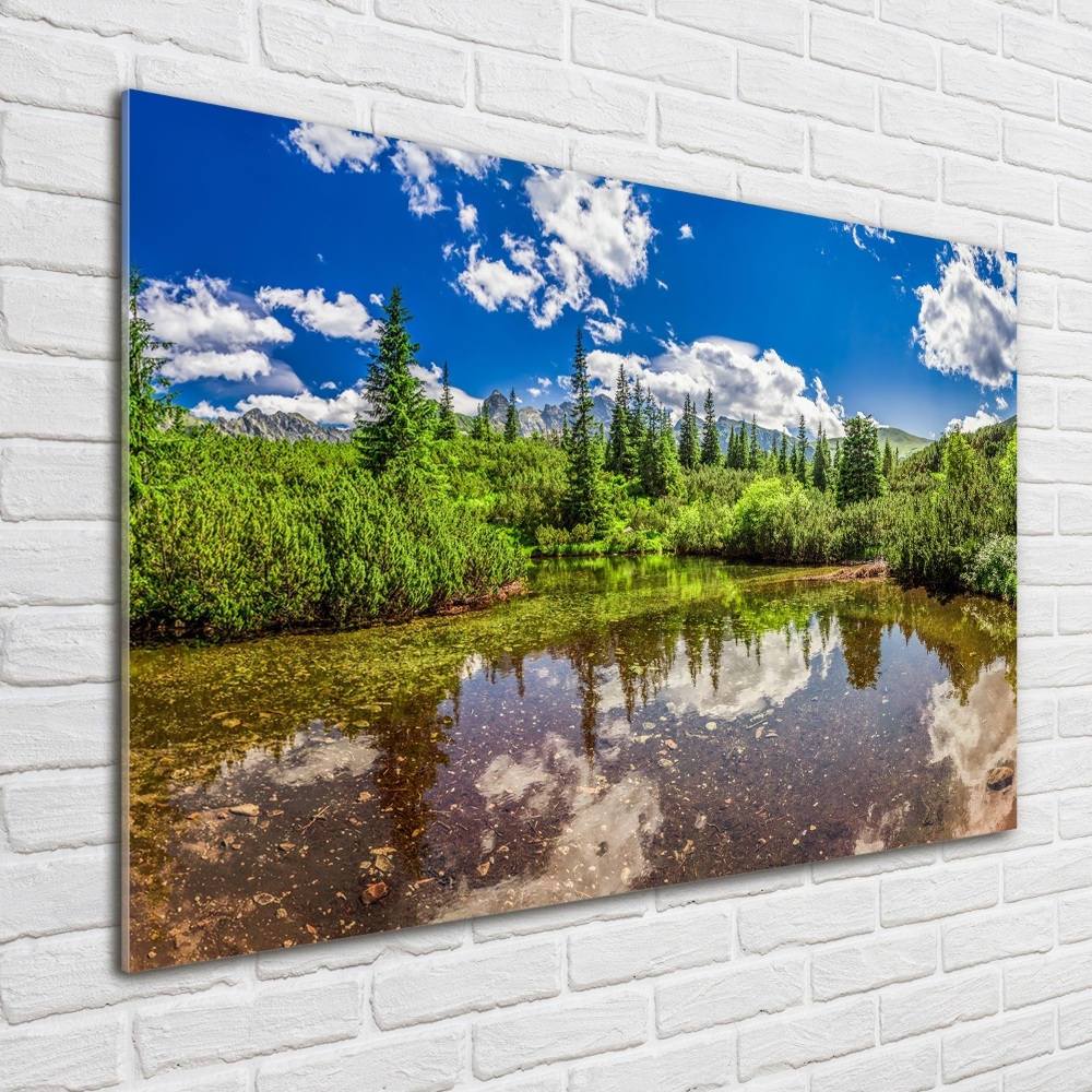 Tableau verre acrylique Lac dans la forêt