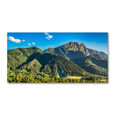 Acrylique tableau Panorama des Tatras