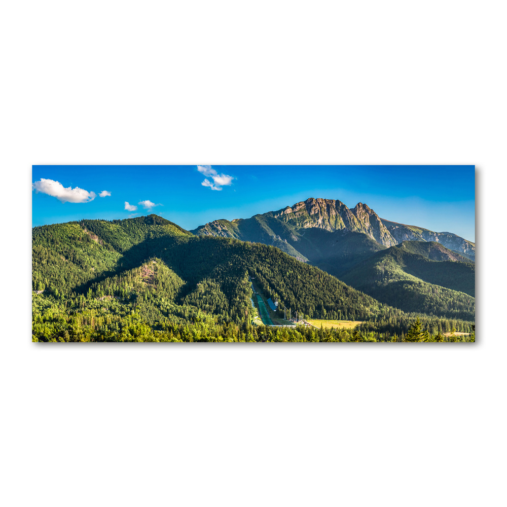 Acrylique tableau Panorama des Tatras