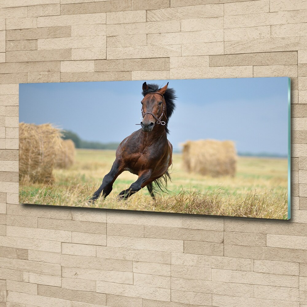 Tableau sur verre acrylique Cheval au galop