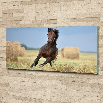 Tableau sur verre acrylique Cheval au galop