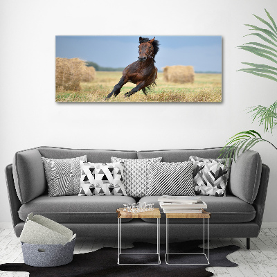 Tableau sur verre acrylique Cheval au galop