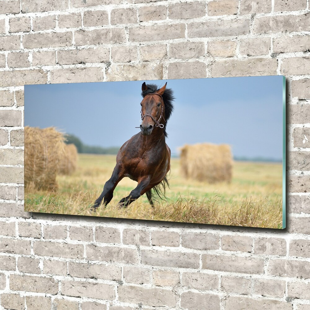 Tableau sur verre acrylique Cheval au galop