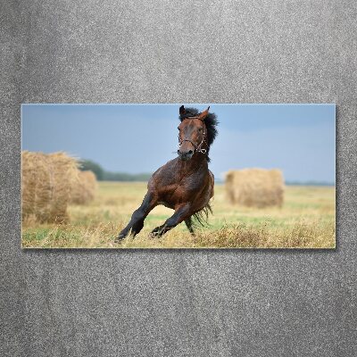 Tableau sur verre acrylique Cheval au galop