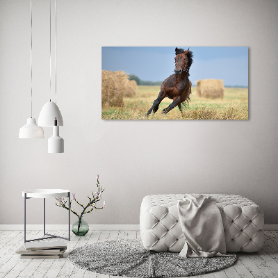 Tableau sur verre acrylique Cheval au galop