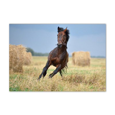 Tableau sur verre acrylique Cheval au galop