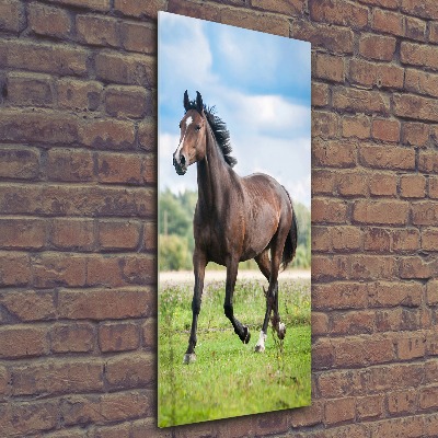 Tableau sur verre acrylique Cheval dans le champ