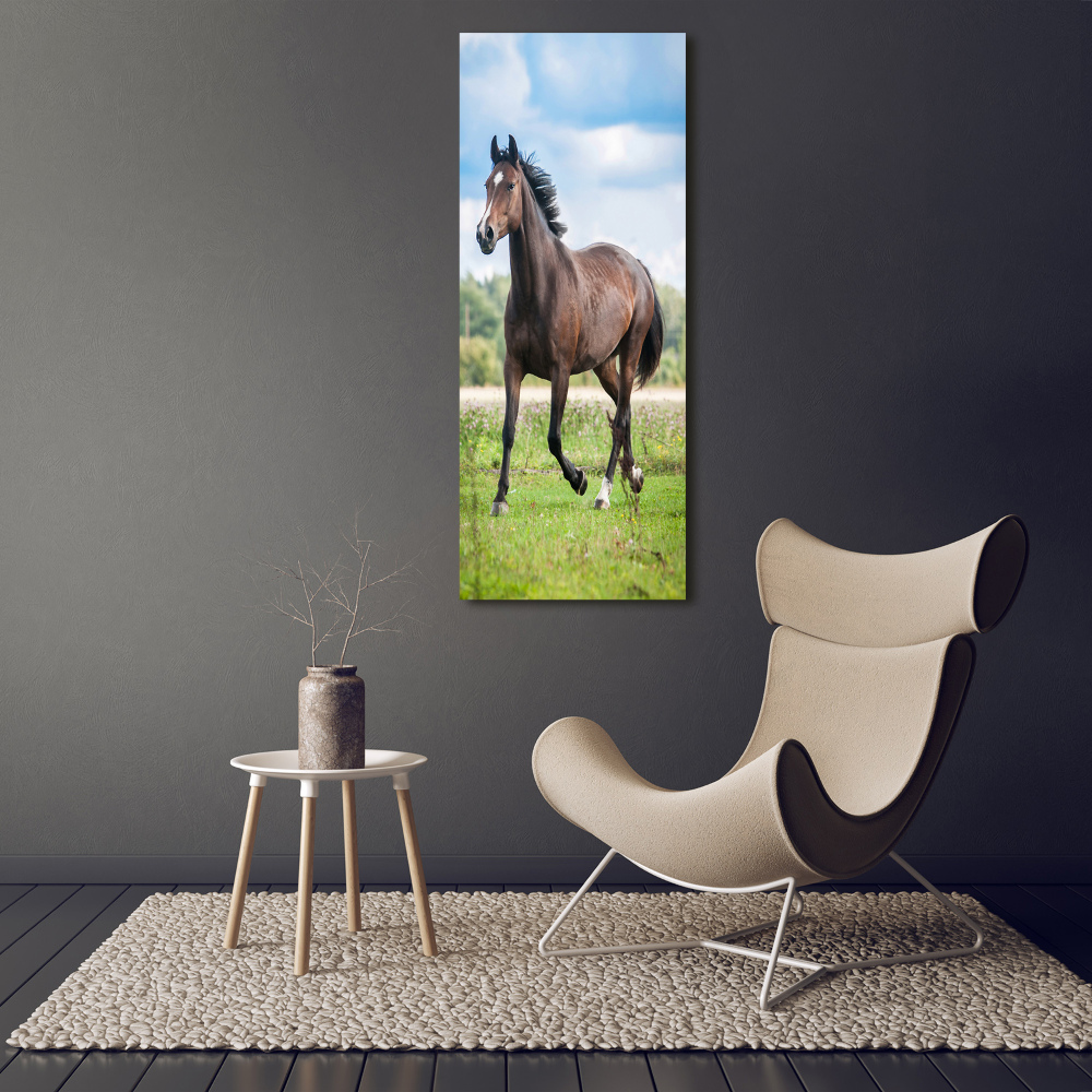 Tableau sur verre acrylique Cheval dans le champ