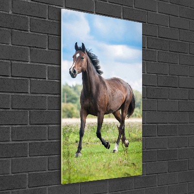 Tableau sur verre acrylique Cheval dans le champ