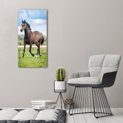 Tableau sur verre acrylique Cheval dans le champ