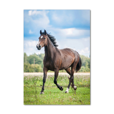 Tableau sur verre acrylique Cheval dans le champ