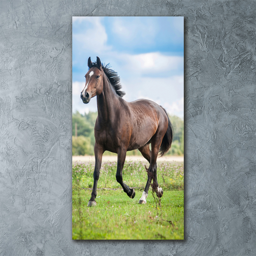 Tableau sur verre acrylique Cheval dans le champ