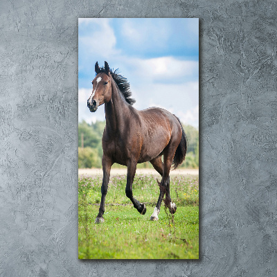 Tableau sur verre acrylique Cheval dans le champ