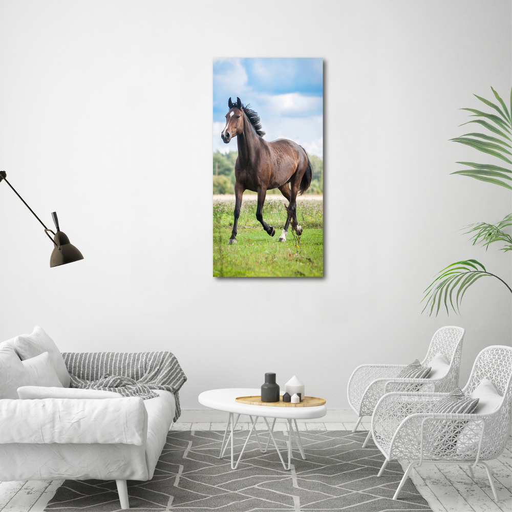 Tableau sur verre acrylique Cheval dans le champ