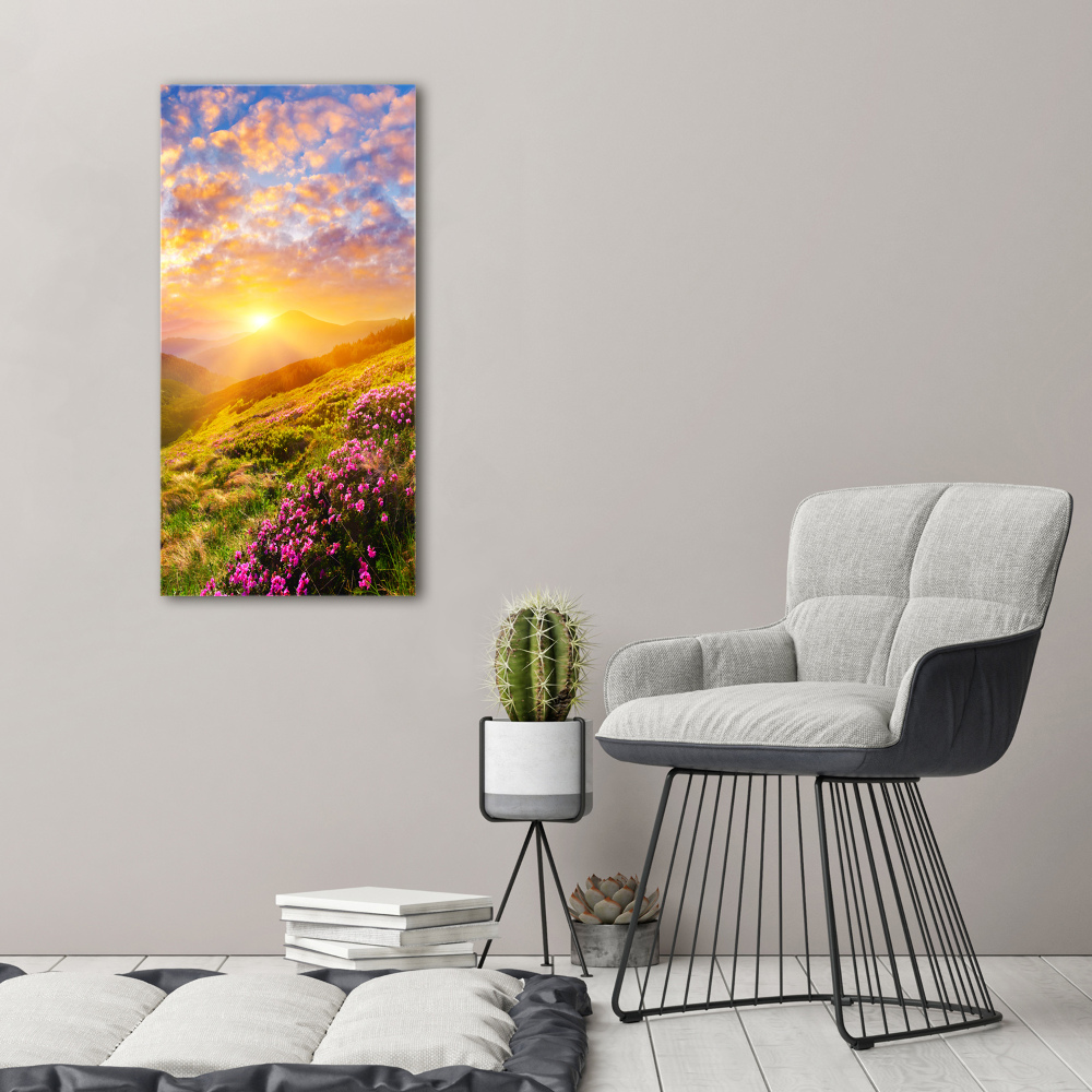 Acrylique tableau Coucher de soleil en montagne