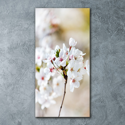 Tableau en acrylique Cerisier en fleur