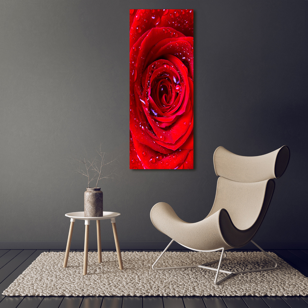 Tableau verre acrylique Rose rouge