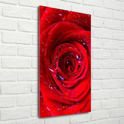 Tableau verre acrylique Rose rouge