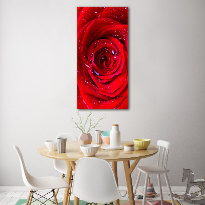 Tableau verre acrylique Rose rouge