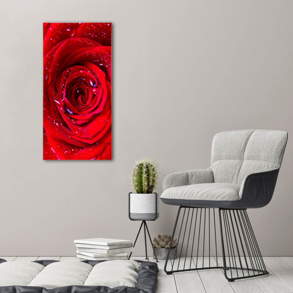 Tableau verre acrylique Rose rouge