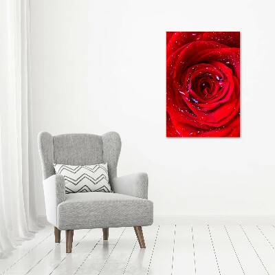 Tableau verre acrylique Rose rouge