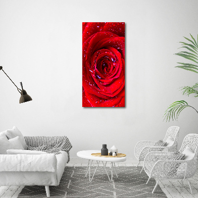 Tableau verre acrylique Rose rouge