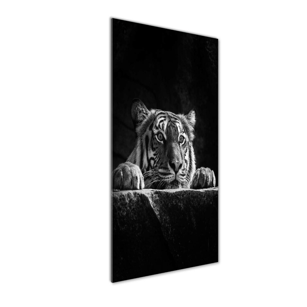 Tableau verre acrylique Tigre