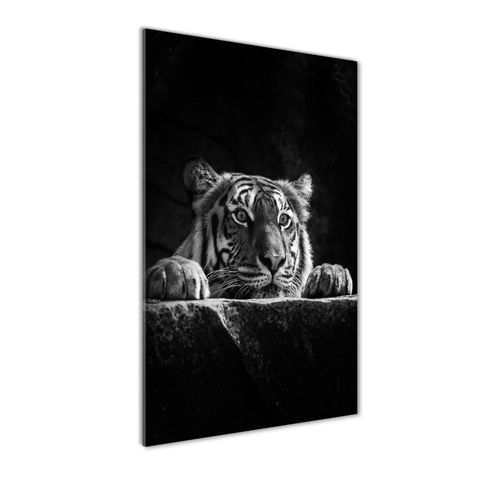 Tableau verre acrylique Tigre