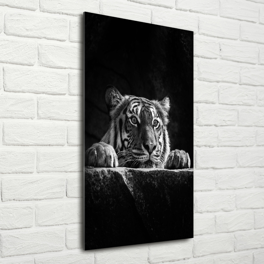 Tableau verre acrylique Tigre